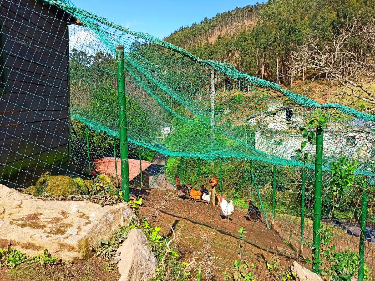 Casa Carmelo Villa Viveiro Eksteriør bilde